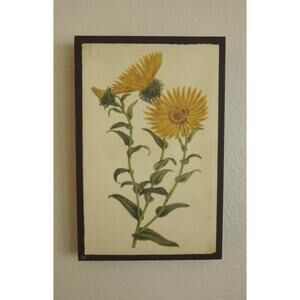 Vintage Grindelia Grandiflora Canvas Wall Decor